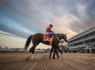 Florida Derby could be next for Holy Bull winner Nearly