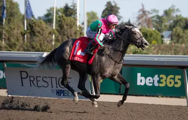 Well-rested Luster favored in Queen Elizabeth II Challenge Cup