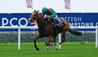 Calandagan a major foreign threat in Japan Cup