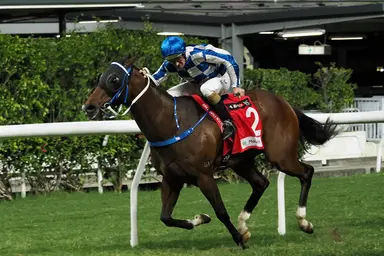 Caspar Fownes edges closer to Pierre Ng with a three-timer