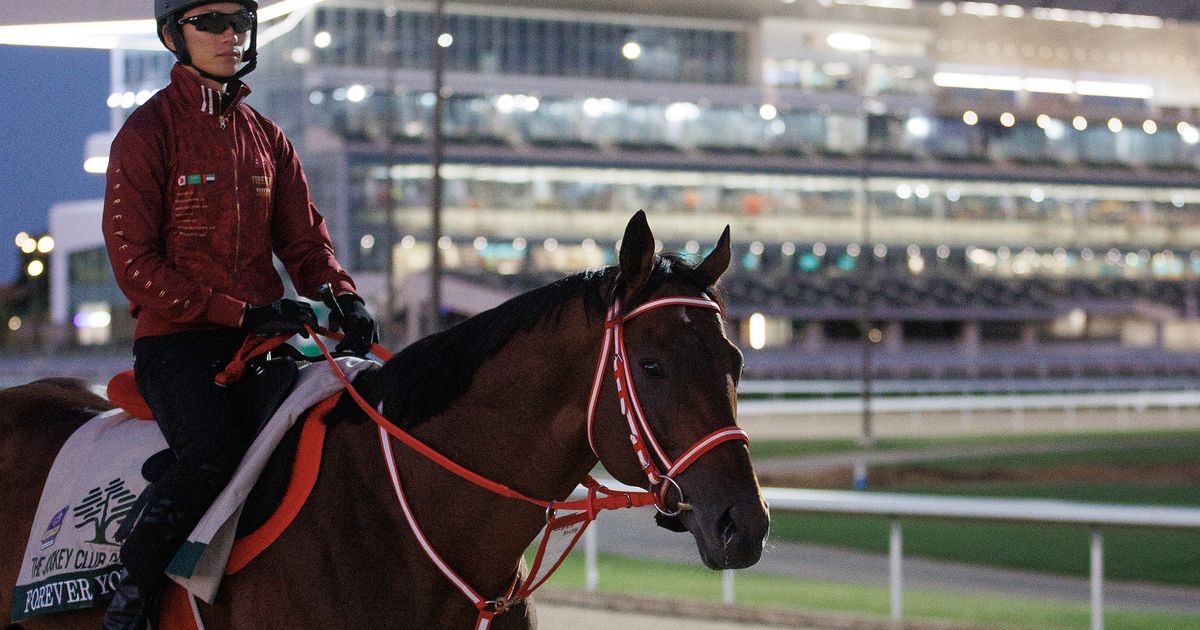 Forever Young to Headline Jockey Club Gold Cup at Reopened Belmont Park
