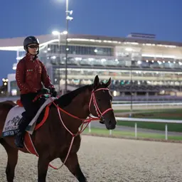 Two scratches leave Forever Young an even shorter price in Jockey Club Gold Cup