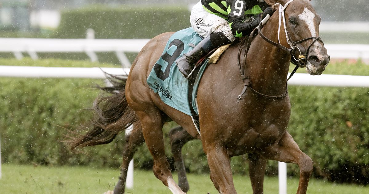 Zeitlos gets ideal pace setup in Smart and Fancy win
