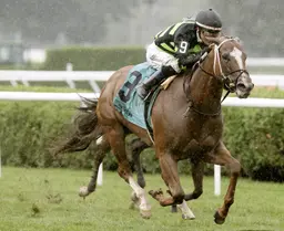 Zeitlos gets ideal pace setup in Smart and Fancy win