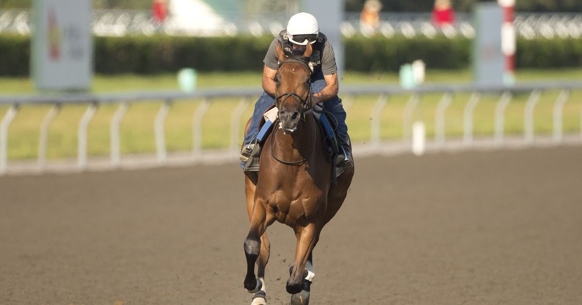 Magical Factor moves back to turf after King's Plate dud