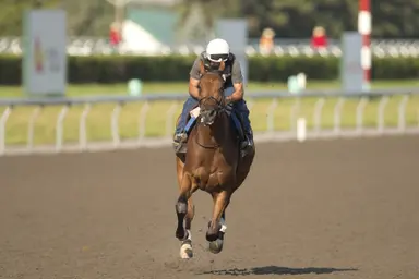 Magical Factor moves back to turf after King's Plate dud