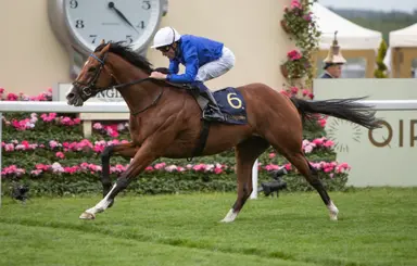 Ombudsman better than ever for Juddmonte International repeat bid