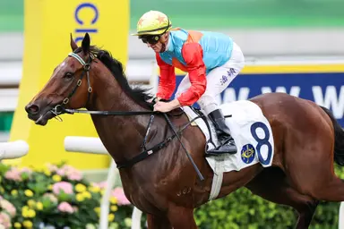Ka Ying Rising gallop pleases Hayes ahead of LONGINES Hong Kong International Races