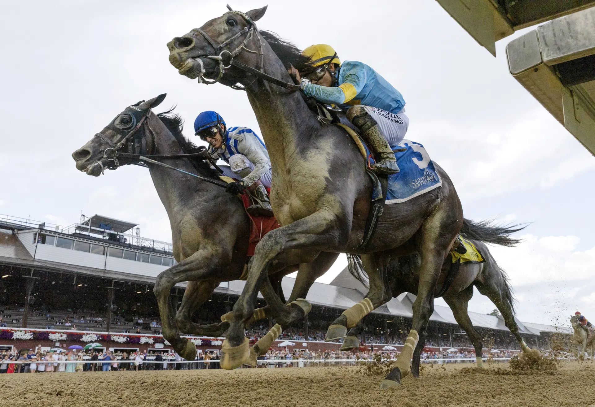 Stars and Stripes denies stablemate Parchment Party a Birdstone repeat