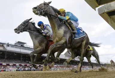 Stars and Stripes denies stablemate Parchment Party a Birdstone repeat