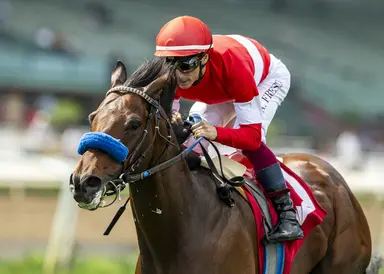 Flyover dominates Sensational Star Stakes