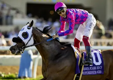 Brad Free's Santa Anita Horses to Watch for the week of Dec. 28-29, 2025