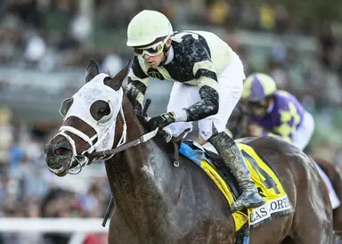 Brad Free's Santa Anita Horses to Watch for week of May 23, 2024