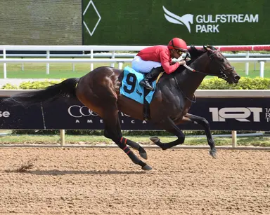 Lincoln's Law looks to validate impressive debut