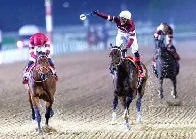 Despite Dubai World Cup win, Magnitude could be third choice in Stephen Foster