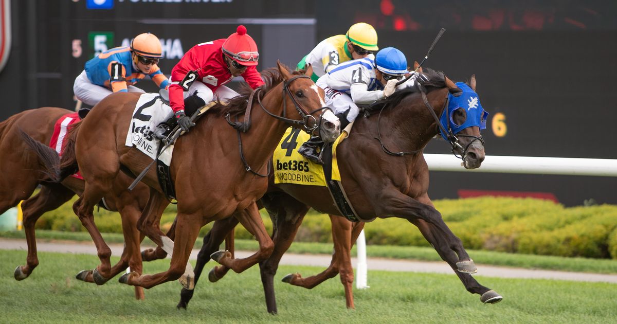In turf debut, Chaos Agent lands first stakes in Toronto Cup