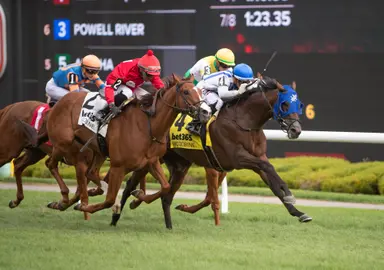 In turf debut, Chaos Agent lands first stakes in Toronto Cup
