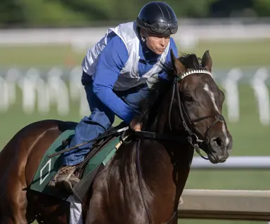 Sovereignty, Baeza return to work for Whitney showdown