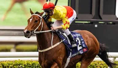 California Spangle is back for Sha Tin Trophy defence