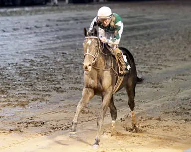 Weekend GamePlan: Picks for Smarty Jones, Ginger Brew, Busanda