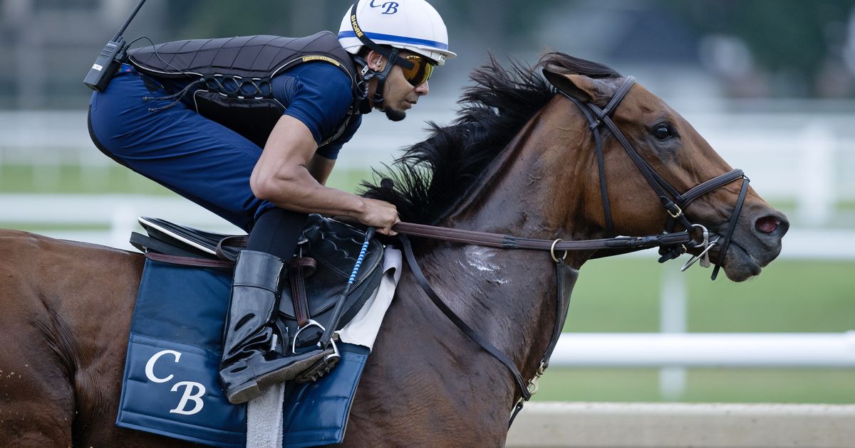 Grade 1 winners abound in Ballerina Stakes field