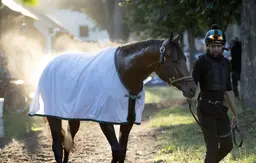 Bracket Buster pointed to Parx Dirt Mile