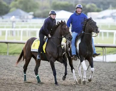 Miss Fulton Gal pointing to Monmouth Oaks