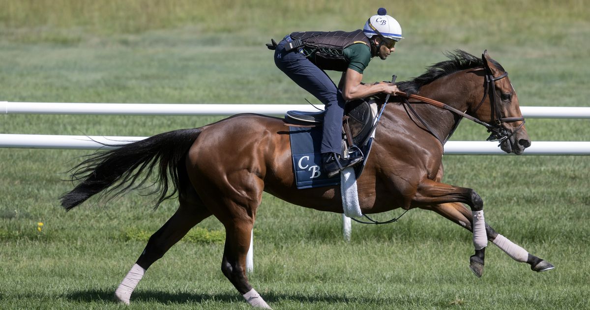 Kathynmarissa has first work since Diana victory