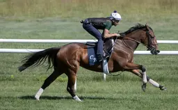 Kathynmarissa has first work since Diana victory