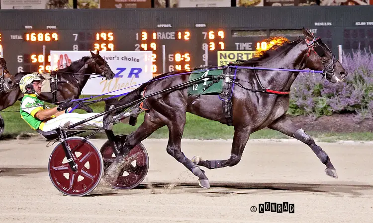 Commanders Moni Next Gen 2CT Finish Scioto Conrad