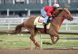 The Puma settling in at Saratoga