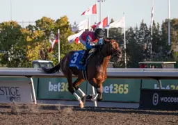Fire and Wine lobbies for Canadian 3-year-old title with Ontario Derby triumph