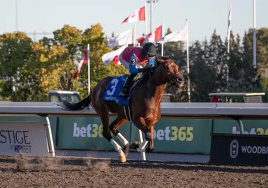 Fire and Wine lobbies for Canadian 3-year-old title with Ontario Derby triumph