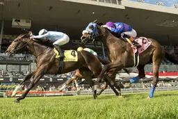 Tomasello holds off Dancin in Da’nile to prevail in Singspiel Stakes