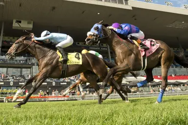 Tomasello holds off Dancin in Da’nile to prevail in Singspiel Stakes