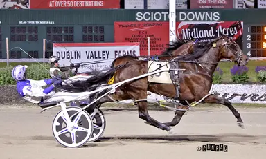 Scioto: Touchedbythesea aiming for 3-for-3 start in Buckeye Stallion Series