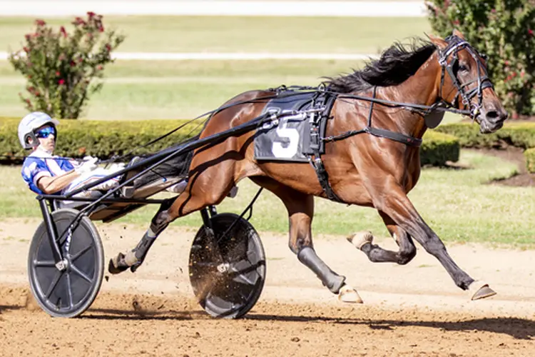 Delaney Hanover 9-27-25