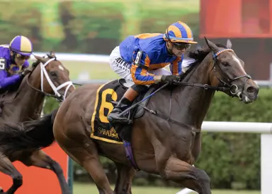Survie, in U.S. debut, impresses with Glens Falls triumph