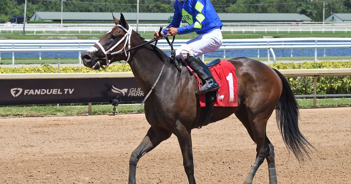 Undefeated Hot Rod Honey hopes to take next step in Scandalous Act