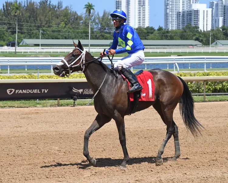 Hot Rod Honey02.7.326.RTCP
