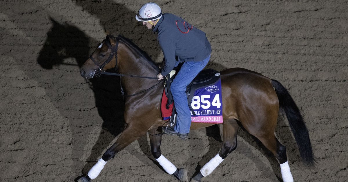 Casse puts duo in position to bounce back in Shenandoah, Turf Dash