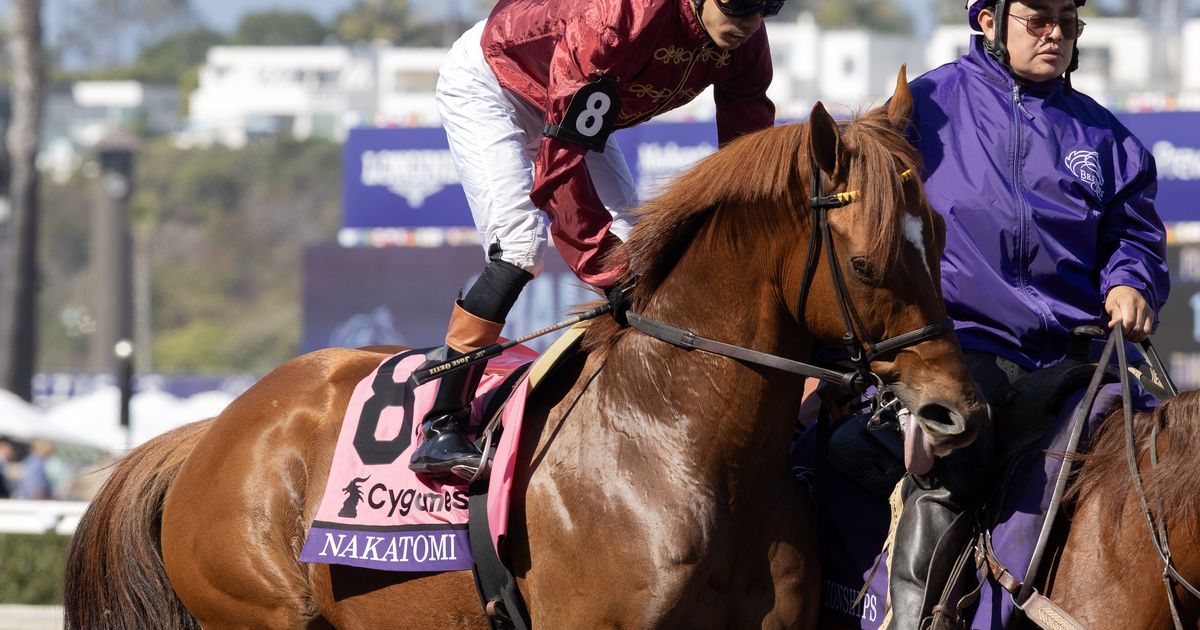 Diehard globetrotter Nakatomi ships in for stakes-caliber sprint