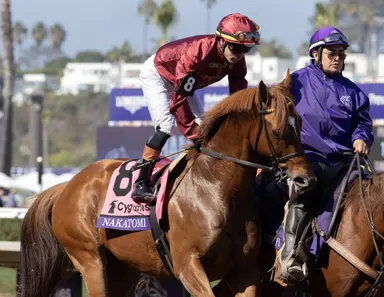 Diehard globetrotter Nakatomi ships in for stakes-caliber sprint
