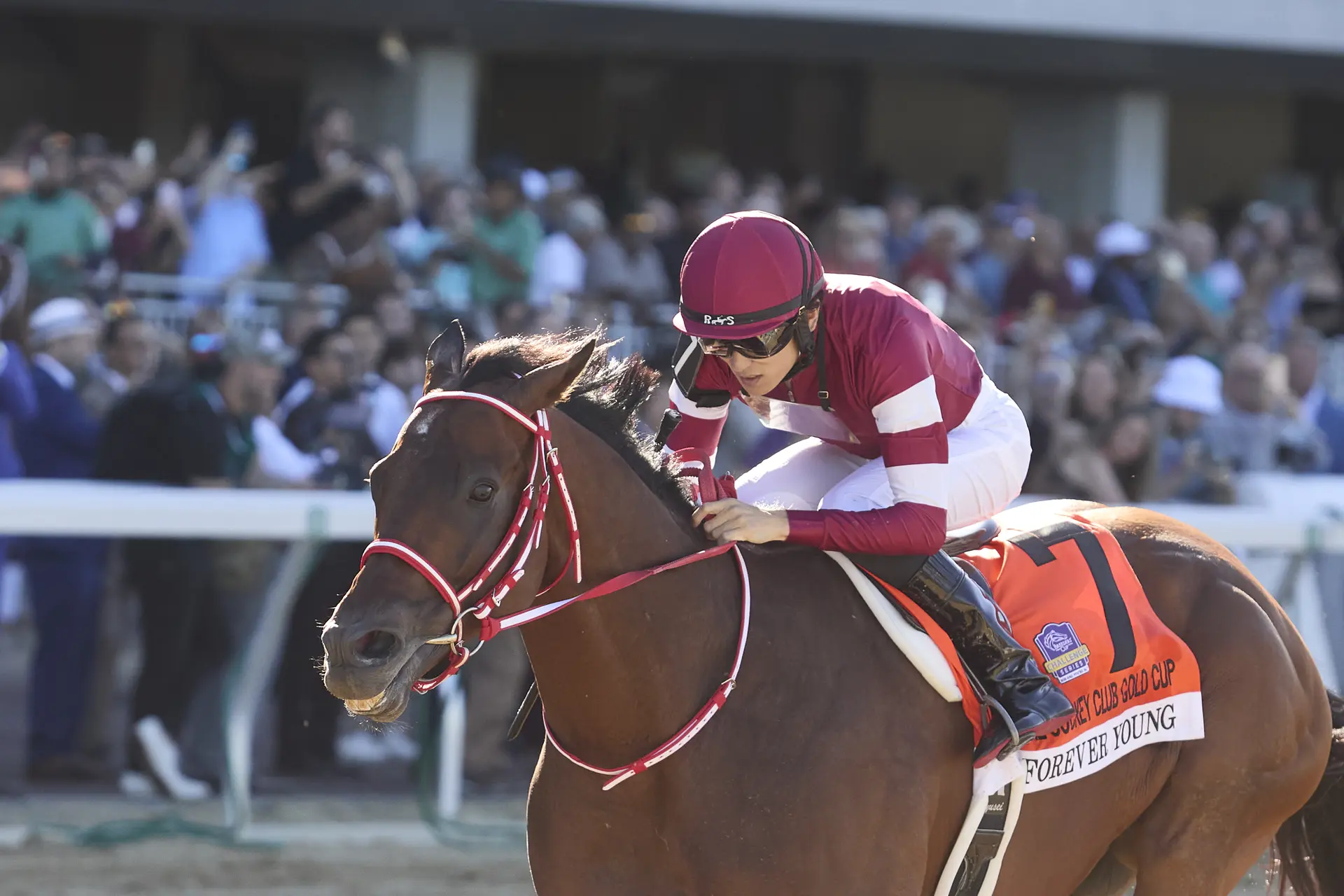 Forever Young turns attention to Breeders' Cup