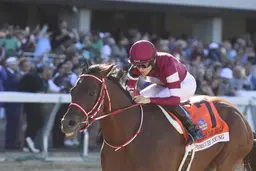 Forever Young turns attention to Breeders' Cup