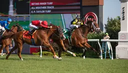 G T Five Hundred ($64.20) lands upset score in Connaught Cup