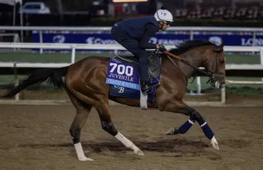 Field a heavy favorite in second pool of Kentucky Derby Future Wager