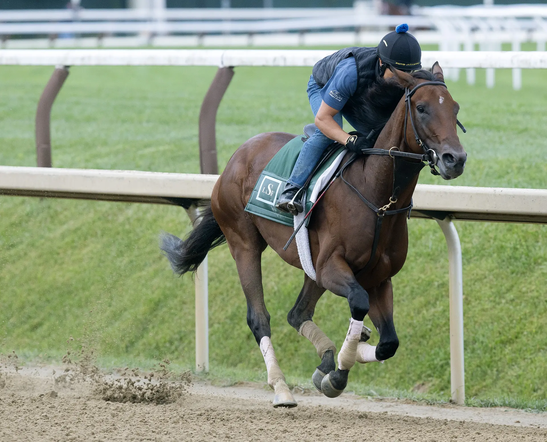 Off pair of eye-opening wins, Baby Vino jumps into Travers for Lindsay Schultz