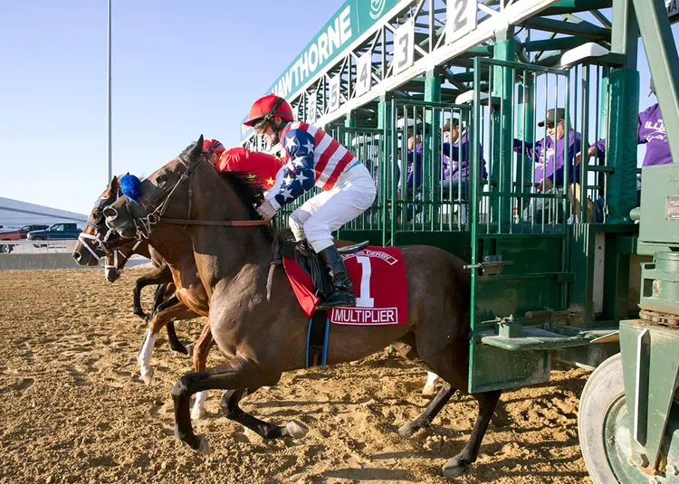 Race start at Hawthorne Race Course 2017