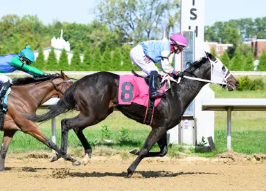 Favored Dynamic Vision stretches out, tries turf in Cincinnatian